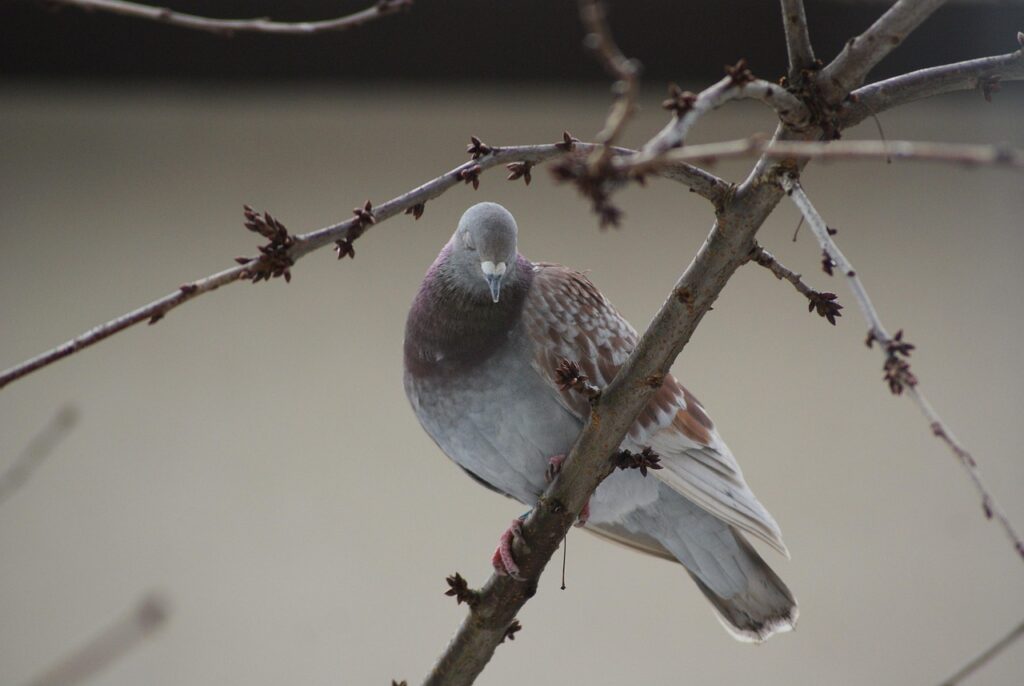 告白の見極め方はどうすればいい？
