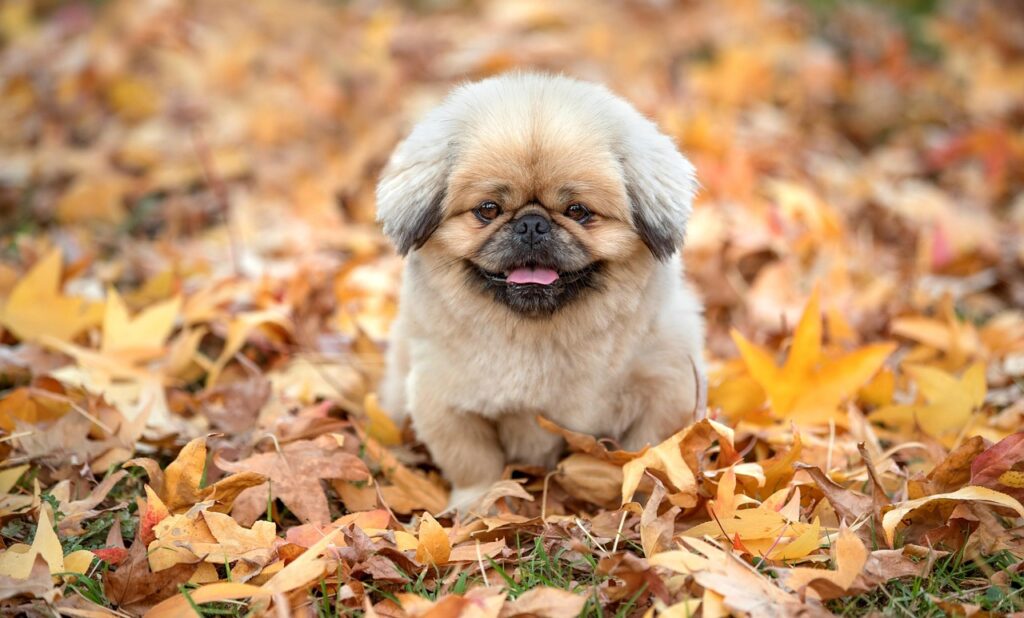 初デートで使える質問ネタは？