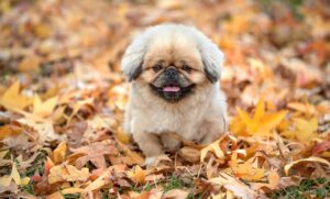 初デートで使える質問ネタは？