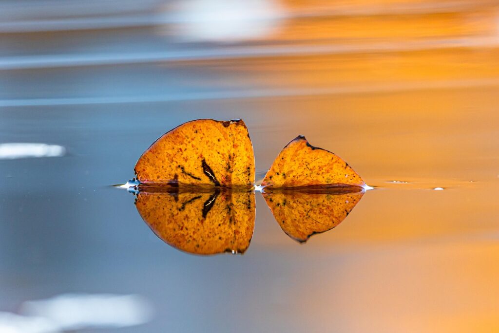 ミラーリングを使った恋愛テクニックの効果とは？