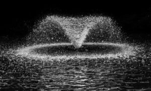 女性を落とすための恋愛心理テクニックとは？