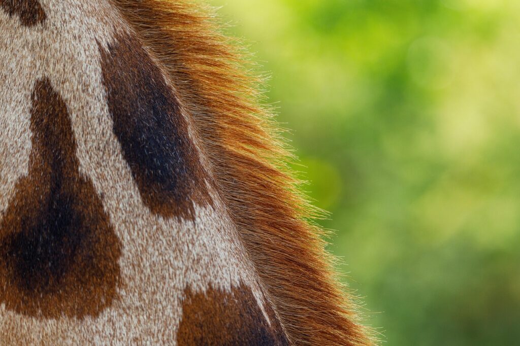 彼女が悲しい時に効果的な慰める方法は？