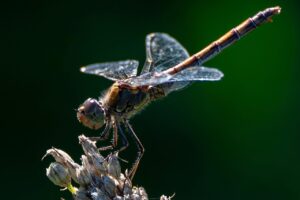 彼女が悩んでいるときに支えるためのコツは？