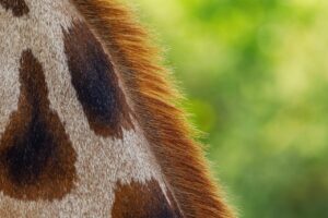 彼女の不安を見守るためのコツは？