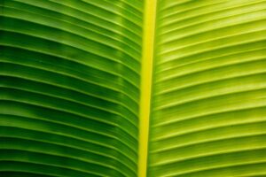 LINEでの体調気遣いに使えるLINE例文は恋愛初心者におすすめ？